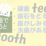 「銀歯」「歯石をとる」「歯がしみる」「虫歯がある」は英語で?