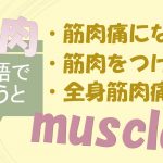 「筋肉痛になる」「筋肉をつける」「全身筋肉痛だ」は英語で?