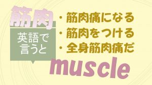 「筋肉痛になる」「筋肉をつける」「全身筋肉痛だ」は英語で？